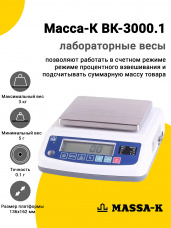 Лабораторные весы Масса-К ВК-3000.1