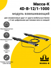 Модуль взвешивающий Масса-К 4D-B-12/1-1000, арт. 56040