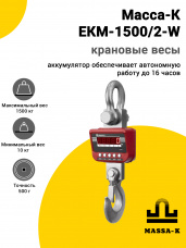 Весы крановые Масса-К ЕКМ-1500/2-W (морозостойкие с Wi-Fi)