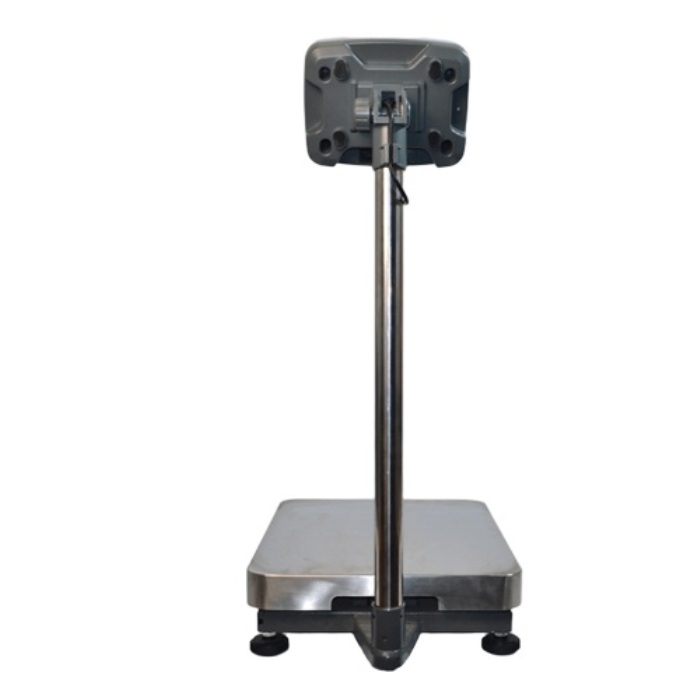 Весы напольные ProMAS PM1E-100 (400х500) Весы напольные ProMAS PM1E-100 (400х500)