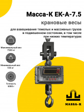 Весы крановые Масса-К ЕК-A-7.5